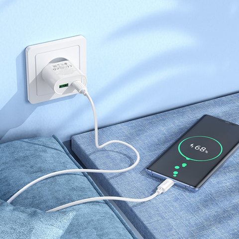 Сетевое зарядное устройство Hoco C109A, 20 Вт, Quick Charge, Power Delivery (PD), белый, 2 порта, #6942007656719 Превью 4